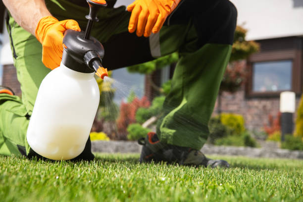 Pest Prevention Services in El Cerro Mission, NM